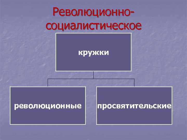   Революционно-  социалистическое   кружки революционные  просвятительские 