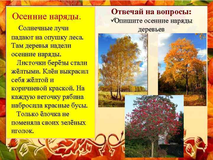 Отвечай на вопросы: Осенние наряды. üОпишите осенние наряды Отвечай на вопросы: Осенние наряды. üОпишите осенние наряды