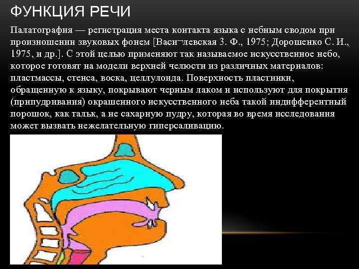 ФУНКЦИЯ РЕЧИ Палатография — регистрация места контакта языка с небным сводом при произношении звуковых