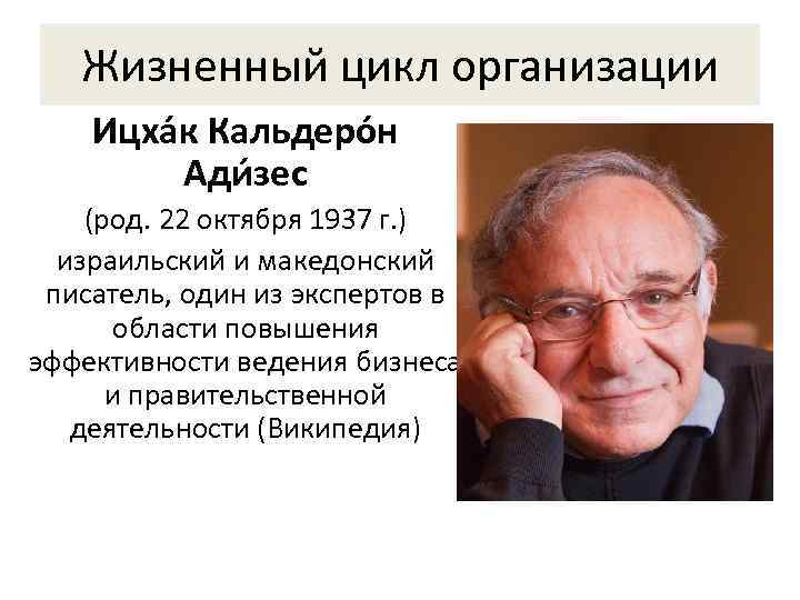   Жизненный цикл организации Ицха к Кальдеро н   Ади зес (род.