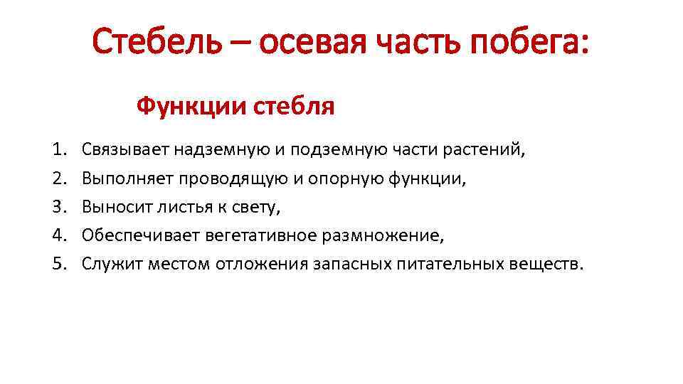  Стебель – осевая часть побега:  Функции стебля 1.  Связывает надземную и