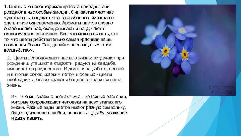 1. Цветы это неповторимая красота природы, они рождают в нас особые эмоции. Они заставляют