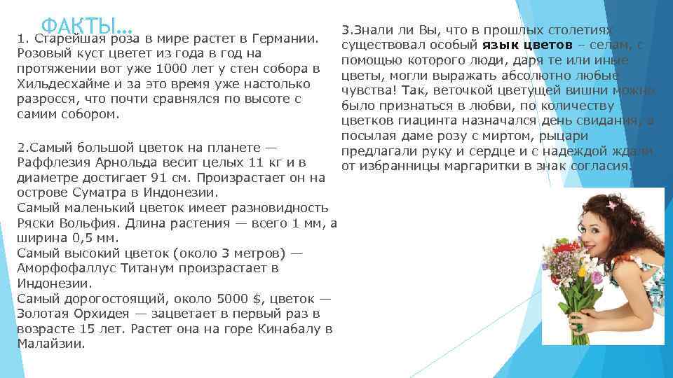   ФАКТЫ… 1. Старейшая роза в мире растет в Германии.   