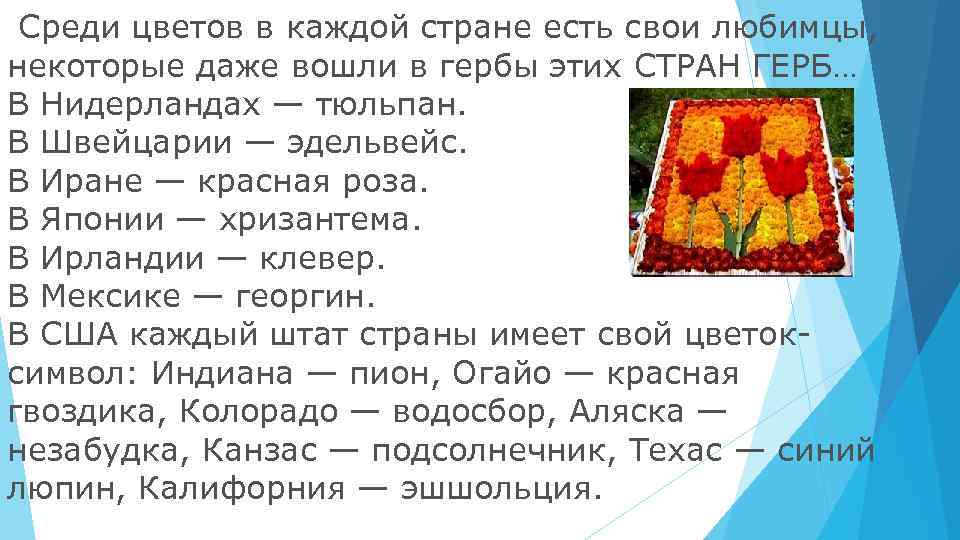  Среди цветов в каждой стране есть свои любимцы,  некоторые даже вошли в