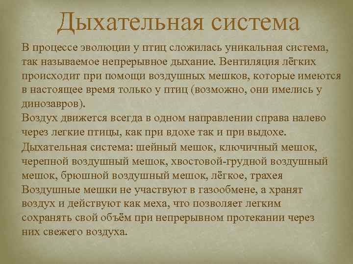  Дыхательная система В процессе эволюции у птиц сложилась уникальная система,  так называемое