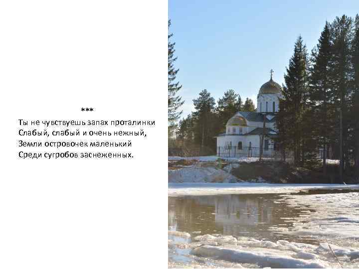     *** Ты не чувствуешь запах проталинки Слабый, слабый и очень