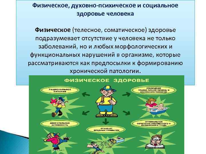  Физическое, духовно-психическое и социальное    здоровье человека  Физическое (телесное, соматическое)