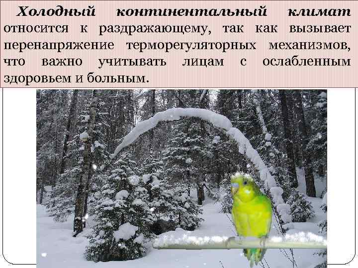  Холодный континентальный  климат относится к раздражающему, так как вызывает перенапряжение терморегуляторных механизмов,