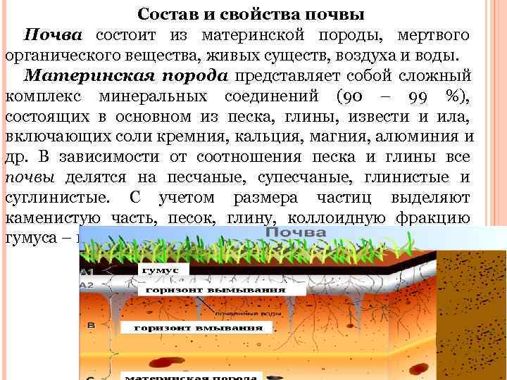     Состав и свойства почвы  Почва состоит из материнской породы,