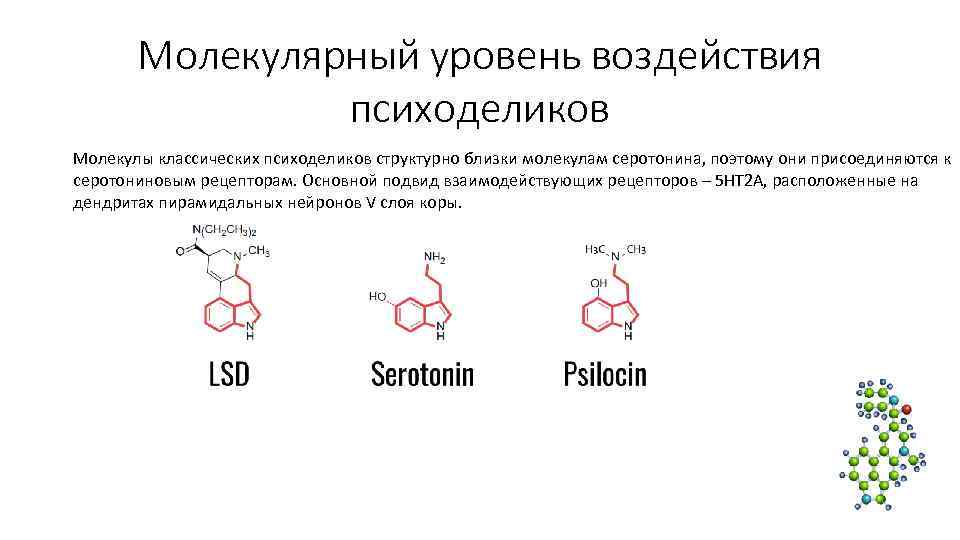 Молекулярный уровень воздействия психоделиков Молекулы классических психоделиков структурно близки молекулам Молекулярный уровень воздействия психоделиков Молекулы классических психоделиков структурно близки молекулам