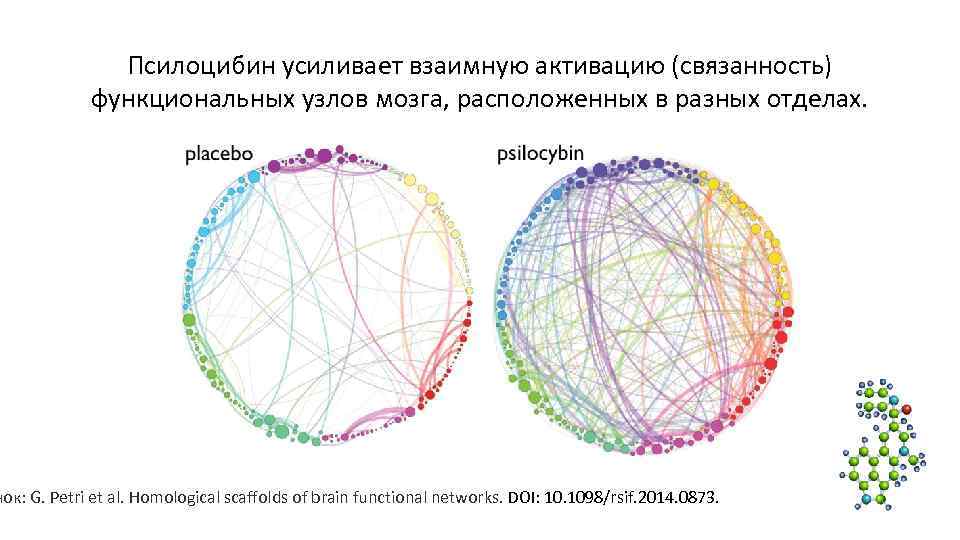 Псилоцибин усиливает взаимную активацию (связанность) функциональных узлов Псилоцибин усиливает взаимную активацию (связанность) функциональных узлов
