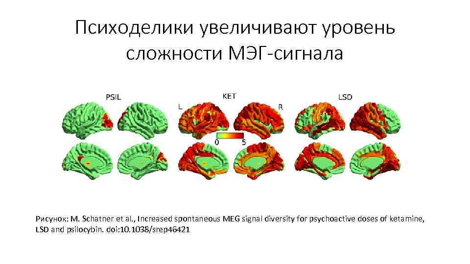 Психоделики увеличивают уровень сложности МЭГ-сигнала Рисунок: M. Schatner Психоделики увеличивают уровень сложности МЭГ-сигнала Рисунок: M. Schatner