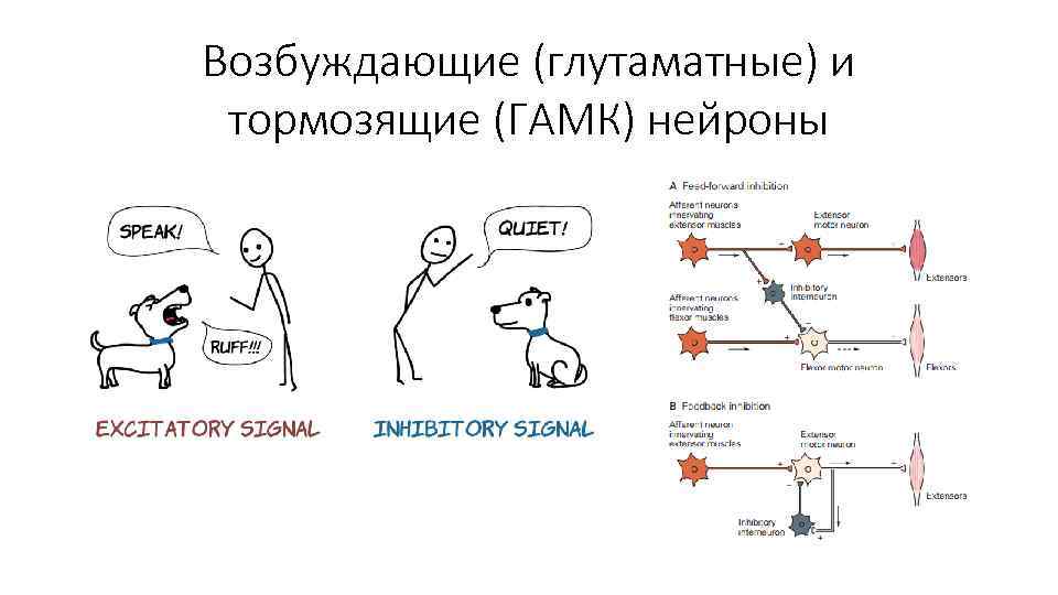 Мама говорит что это план тормозит