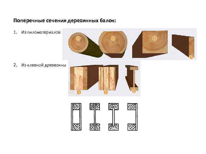 Сечение древесины. Балки из цельной древесины круглого сечения. Поперечное сечение деревянной балки. Поперечное сечение балки дерево. Lvl сечения балок.