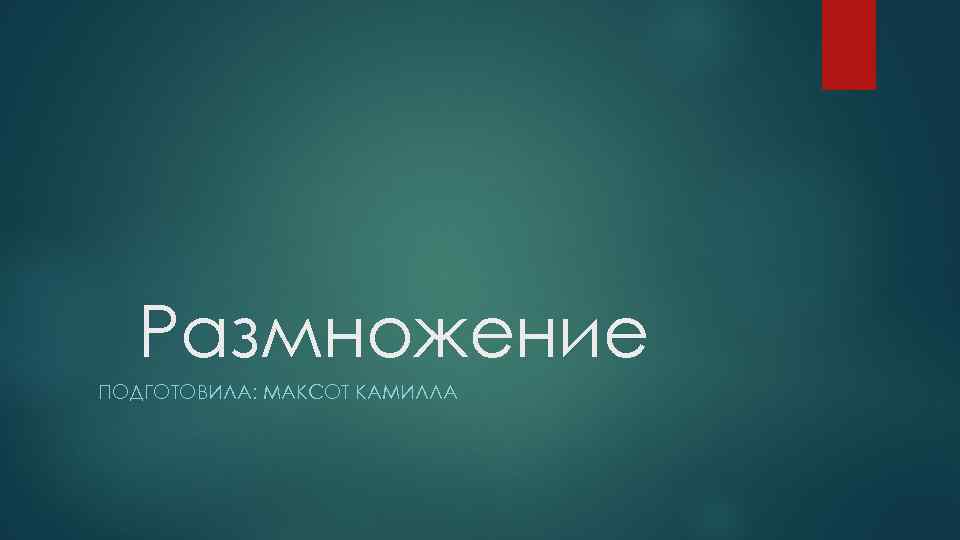  Размножение ПОДГОТОВИЛА: МАКСОТ КАМИЛЛА 