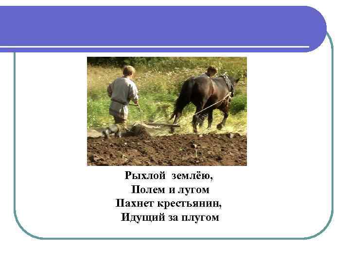  Рыхлой землёю, Полем и лугом Пахнет крестьянин,  Идущий за плугом 