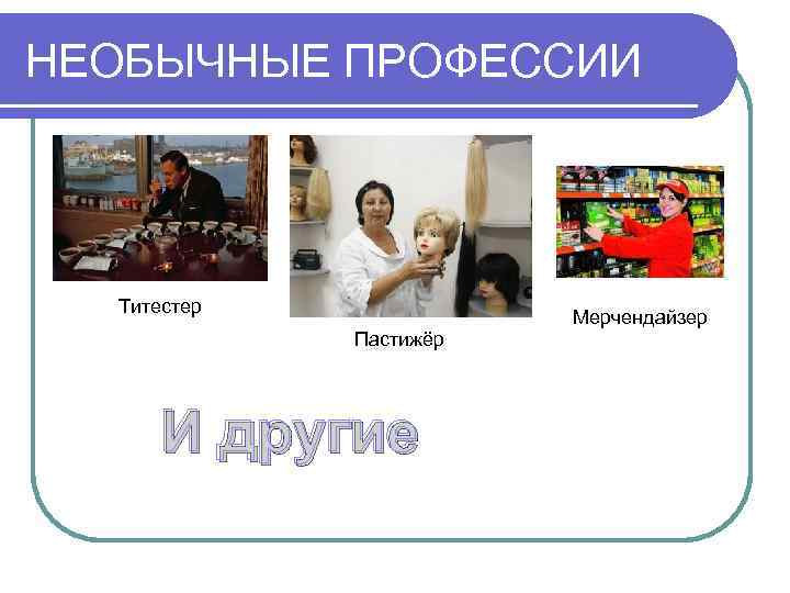 НЕОБЫЧНЫЕ ПРОФЕССИИ  Титестер     Мерчендайзер   Пастижёр  
