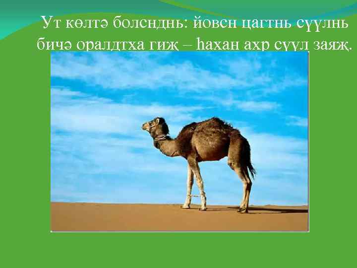 Ут көлтә болснднь: йовсн цагтнь сүүлнь бичә оралдтха гиҗ – һахан ахр сүүл заяҗ.