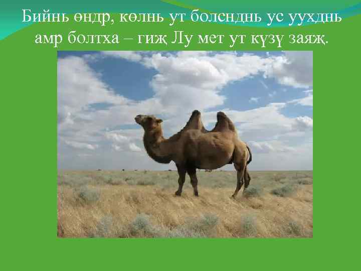 Бийнь өндр, көлнь ут болснднь ус уухднь амр болтха – гиҗ Лу мет ут