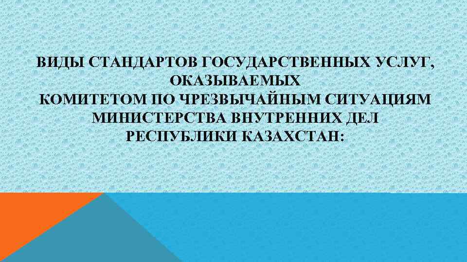 ВИДЫ СТАНДАРТОВ ГОСУДАРСТВЕННЫХ УСЛУГ,    ОКАЗЫВАЕМЫХ КОМИТЕТОМ ПО ЧРЕЗВЫЧАЙНЫМ СИТУАЦИЯМ  МИНИСТЕРСТВА