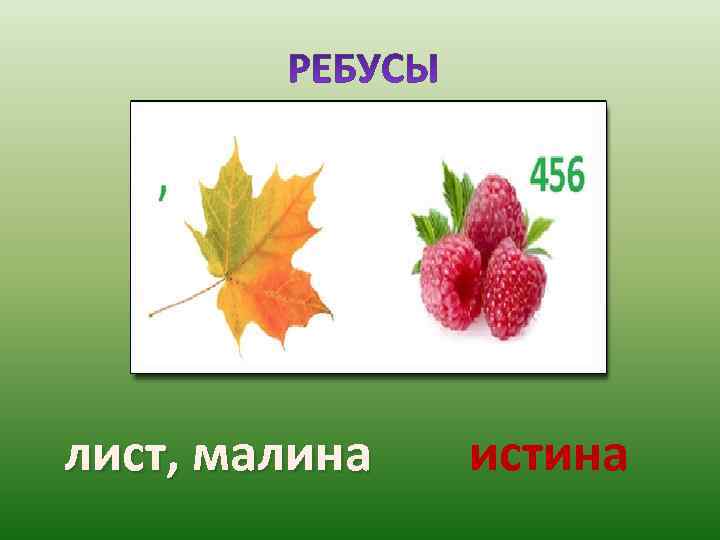 лист, малина  истина 