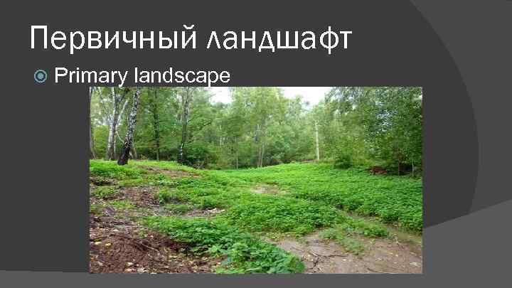 Первичный ландшафт Primary landscape 