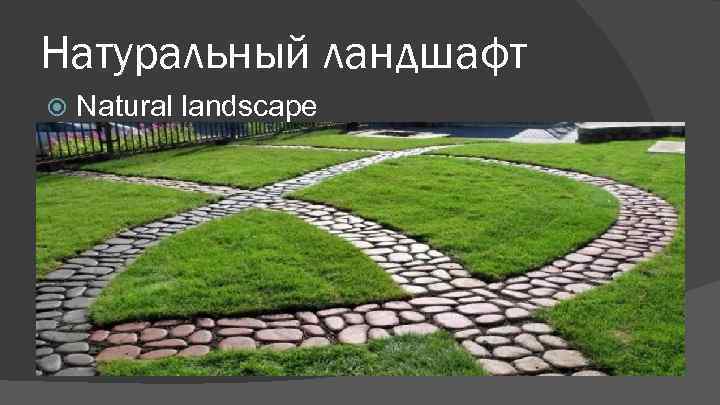 Натуральный ландшафт Natural landscape 