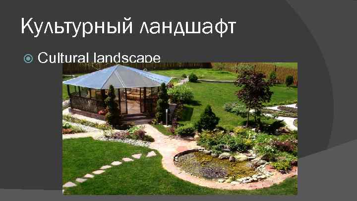 Культурный ландшафт Cultural landscape 