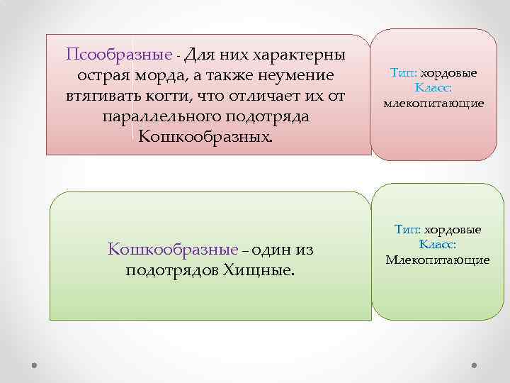 Псообразные - Для них характерны острая морда, а также неумение  Тип: хордовые 