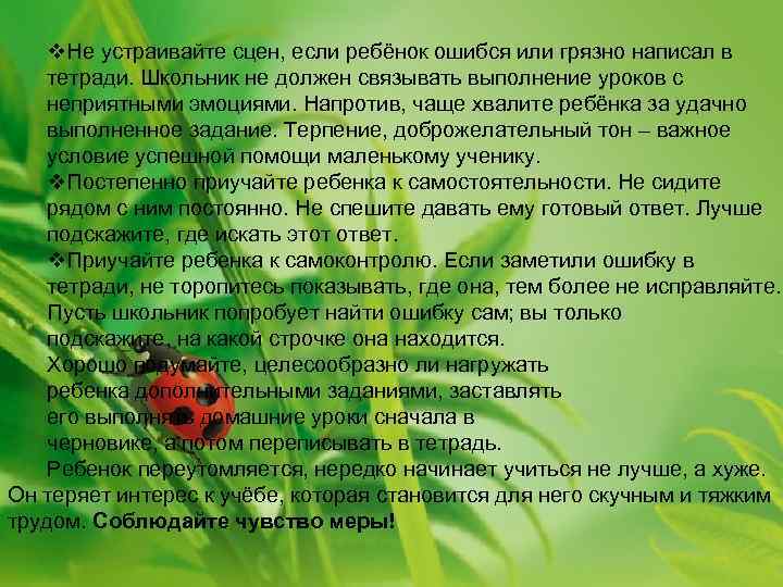   v. Не устраивайте сцен, если ребёнок ошибся или грязно написал в тетради.