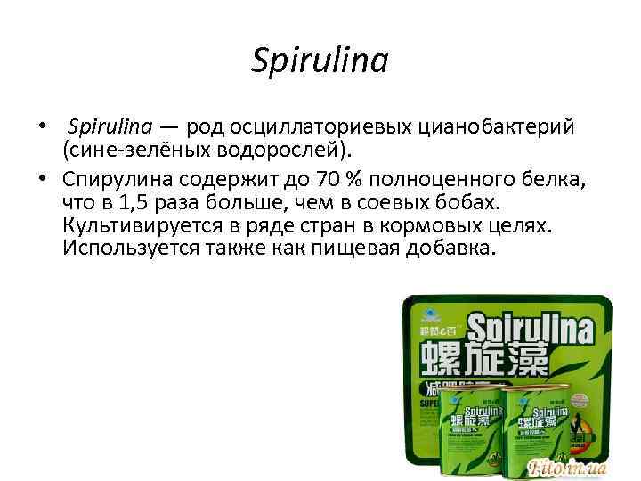    Spirulina •  Spirulina — род осциллаториевых цианобактерий  (сине-зелёных водорослей).