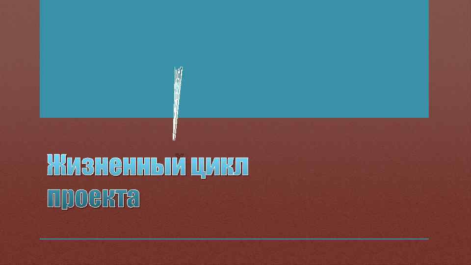 Жизненный цикл проекта 