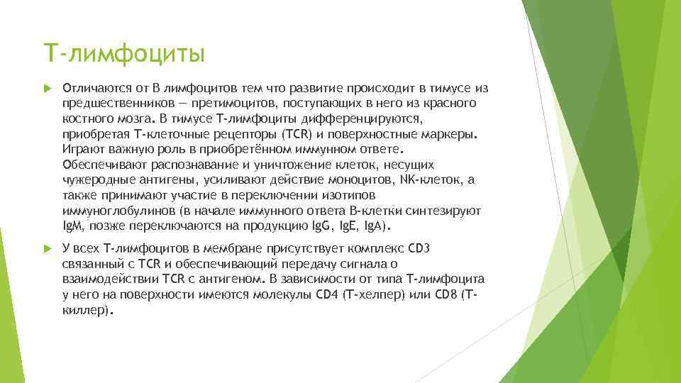 Т-лимфоциты Отличаются от В лимфоцитов тем что развитие происходит в тимусе из предшественников —