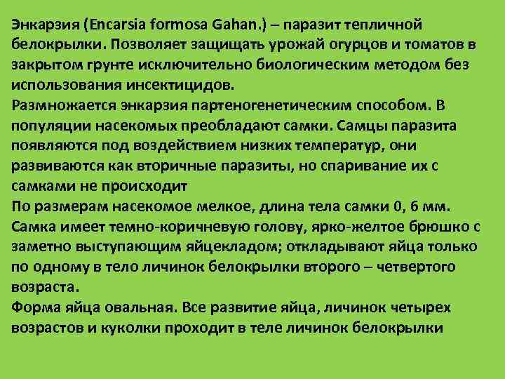 Энкарзия (Encarsia formosa Gahan. ) – паразит тепличной белокрылки. Позволяет защищать урожай огурцов и