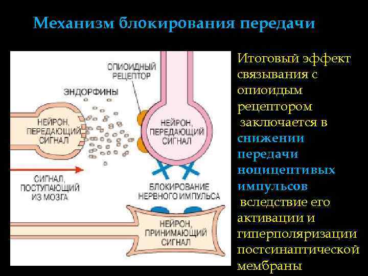 Механизм блокирования передачи    Итоговый эффект     связывания с