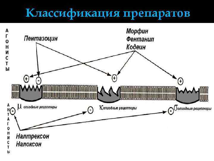Классификация препаратов 