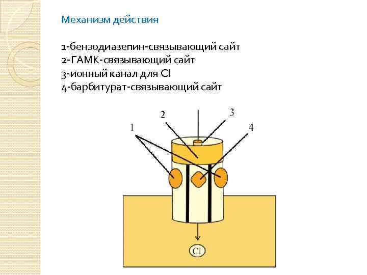 Механизм действия 1 -бензодиазепин-связывающий сайт 2 -ГАМК-связывающий сайт 3 -ионный канал для Cl 4