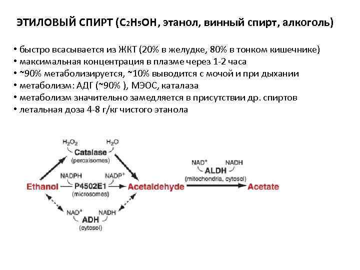 ЭТИЛОВЫЙ СПИРТ (С 2 Н 5 ОН, этанол, винный спирт, алкоголь) • быстро ЭТИЛОВЫЙ СПИРТ (С 2 Н 5 ОН, этанол, винный спирт, алкоголь) • быстро