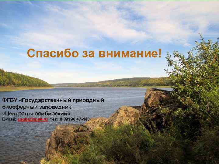   Спасибо за внимание!  ФГБУ «Государственный природный биосферный заповедник «Центральносибирский» E-mail: csgbz@mail.
