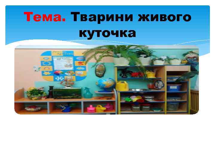 Тема. Тварини живого  куточка 