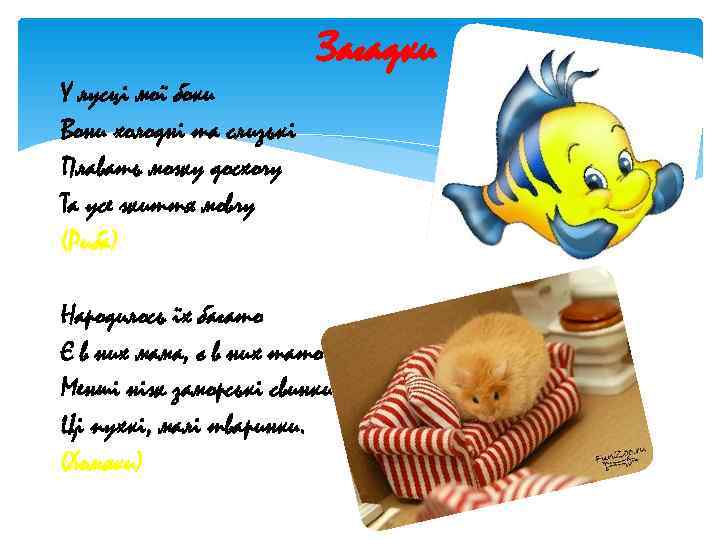      Загадки У лусці мої боки Вони холодні та слизькі