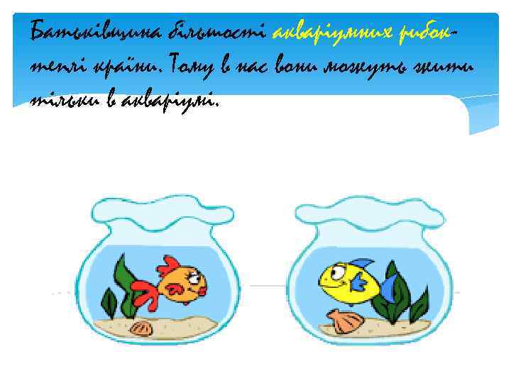 Батьківщина більшості акваріумних рибок- теплі країни. Тому в нас вони можуть жити тільки в
