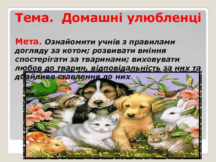 Тема. Домашні улюбленці Мета. Ознайомити учнів з правилами догляду за котом; розвивати вміння спостерігати