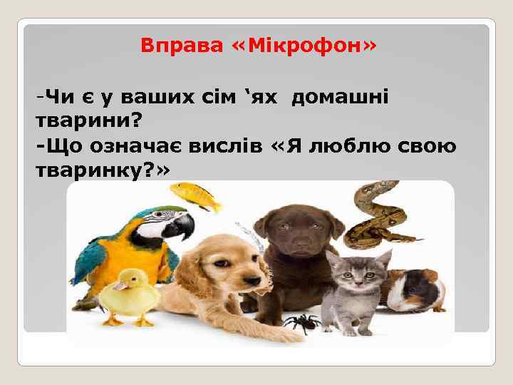   Вправа «Мікрофон»  -Чи є у ваших сім ‘ях домашні тварини? -Що