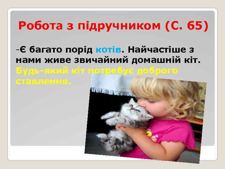 Робота з підручником (С. 65) -Є багато порід котів. Найчастіше з нами живе звичайний