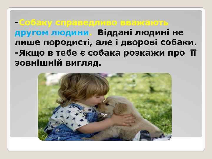 -Собаку справедливо вважають другом людини. Віддані людині не лише породисті, але і дворові собаки.