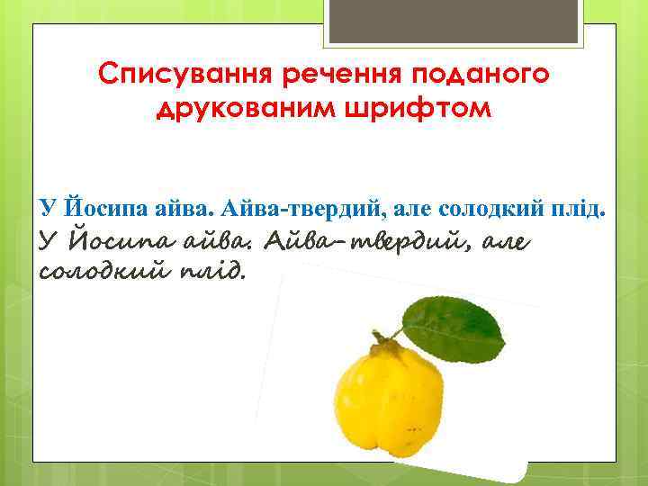   Списування речення поданого  друкованим шрифтом  У Йосипа айва. Айва-твердий, але