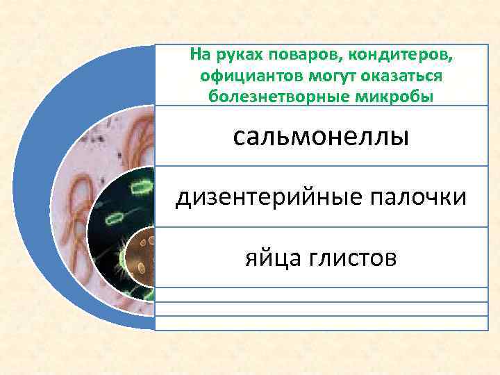На руках поваров, кондитеров,  официантов могут оказаться  болезнетворные микробы сальмонеллы дизентерийные палочки