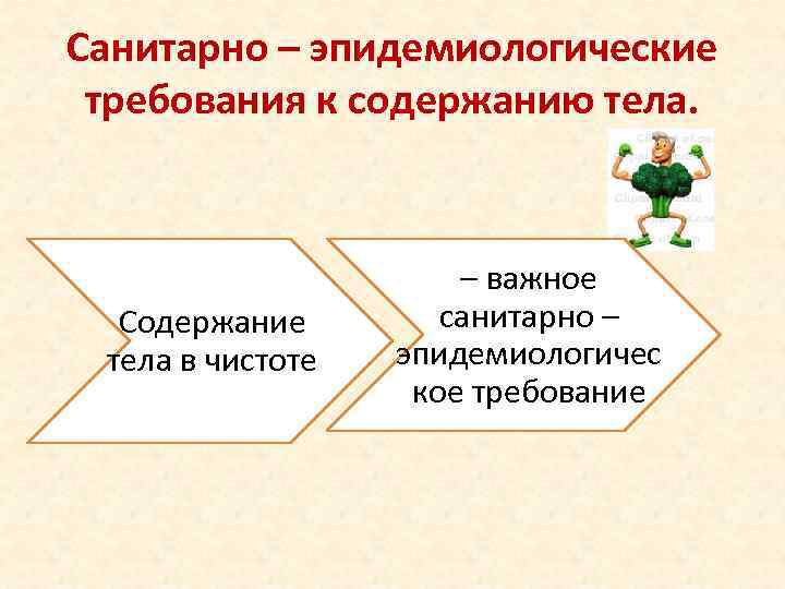 Санитарно – эпидемиологические требования к содержанию тела.      – важное