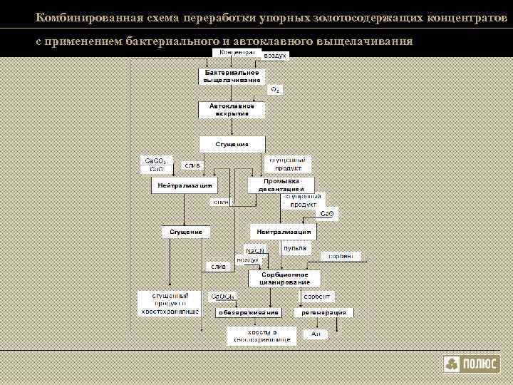 Комбинированная схема переработки упорных золотосодержащих концентратов с применением бактериального и автоклавного выщелачивания Комбинированная схема переработки упорных золотосодержащих концентратов с применением бактериального и автоклавного выщелачивания